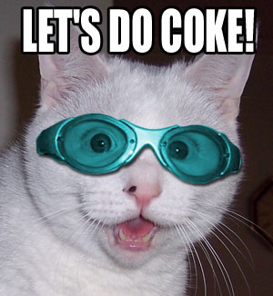 cat-docoke.jpg